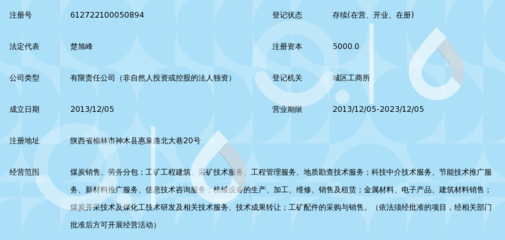 陕西鲁泰能源科技_360百科